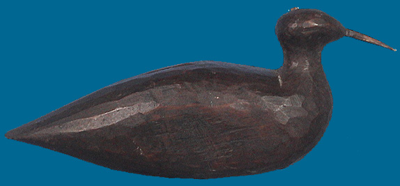 BH plover